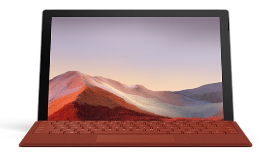 绥滨清洁和维护 Surface